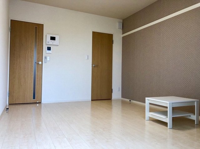 その他部屋・スペース　左側扉が玄関に続く廊下、右側扉がクローゼットでございます。