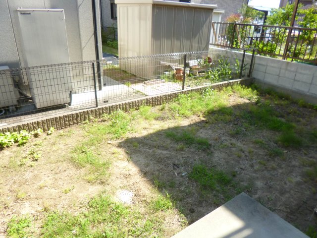 庭