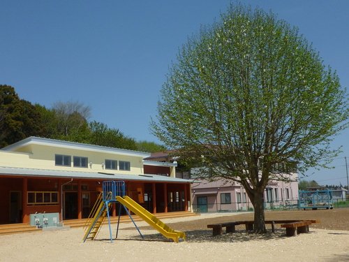 幼稚園・保育園　島名杉の子保育園（幼稚園・保育園）まで1352m