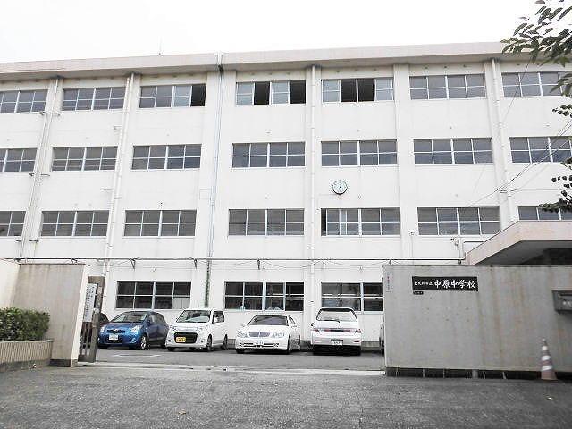 中学校　中原中学校（中学校）まで786m