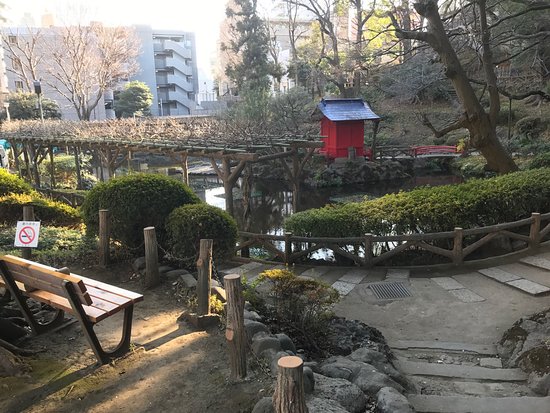公園　須藤公園（公園）まで1417m