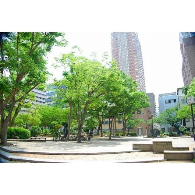 公園　松島公園（公園）まで917m