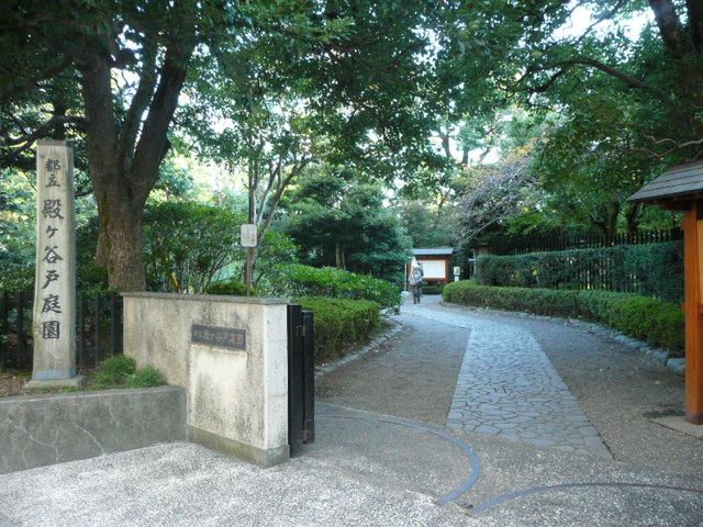 公園　殿ケ谷戸公園（公園）まで277m