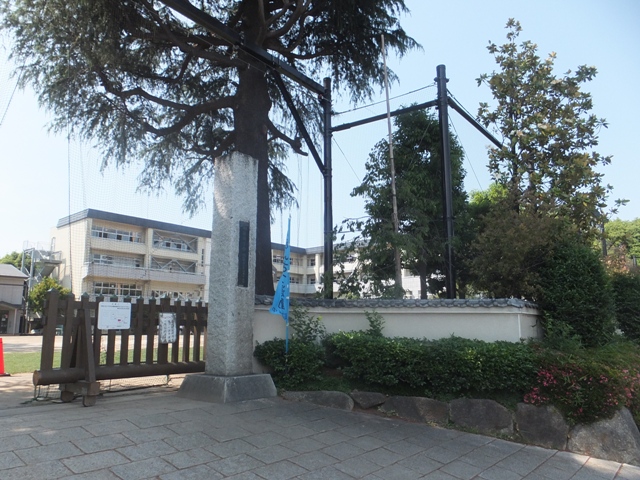 小学校　調布市立 深大寺小学校（小学校）まで689m