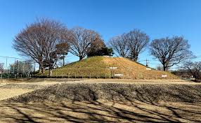 公園　玉川野毛町公園（公園）まで507m