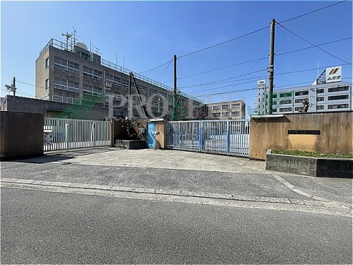 小学校　東大阪市立藤戸小学校（小学校）まで859m