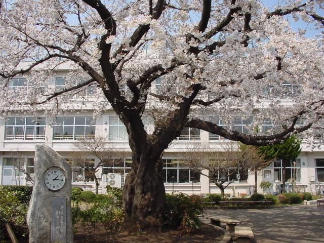小学校　立川第十小学校（小学校）まで286m