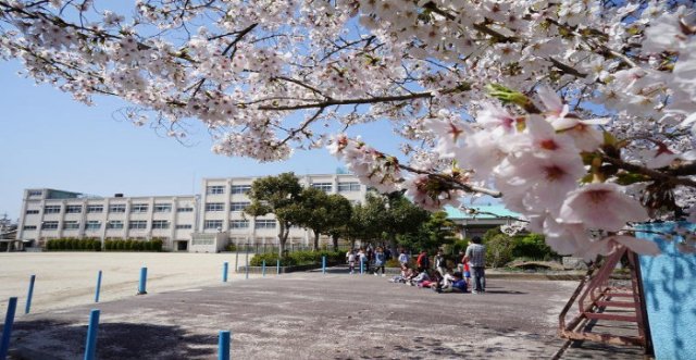 小学校　高槻市立富田小学校（小学校）まで688m