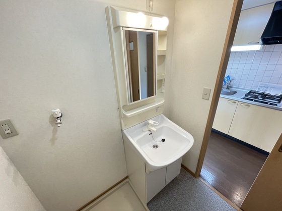 洗面設備　※別部屋の写真です