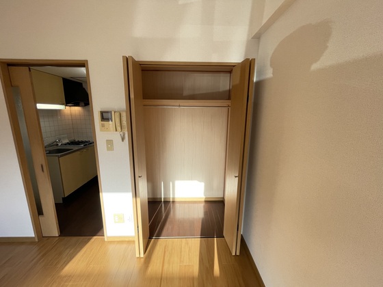 収納　※別部屋の写真です
