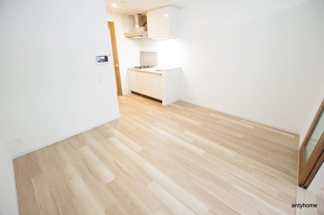 RISING Maison 本町橋の居間写真