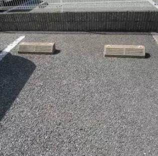 マイルストーンのその他写真