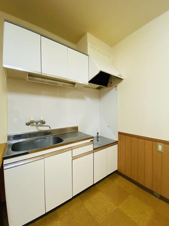 大通り秀栄マンションのキッチン写真