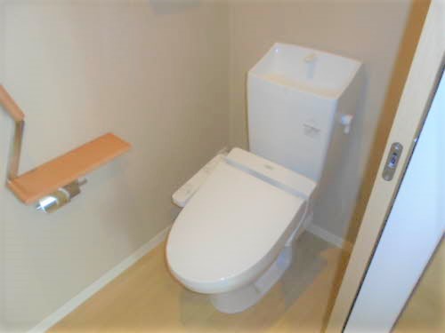 グレースセゾン 樹のトイレ写真
