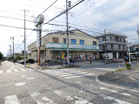 ドラックストア　ドラッグセイムス 谷在家店（ドラッグストア）まで319m