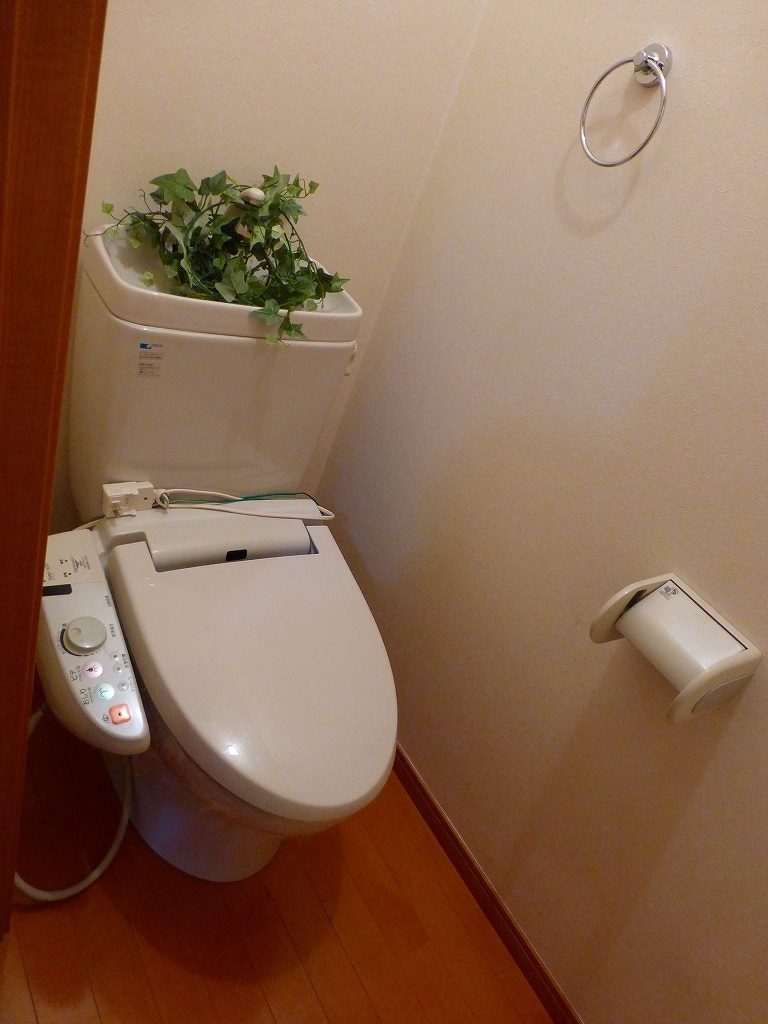 メゾン桜木町IIのトイレ写真