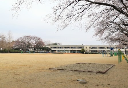 小学校　つくば市立手代木南小学校（小学校）まで340m
