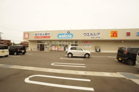 ドラックストア　ウエルシア新潟上木戸店（ドラッグストア）まで703m