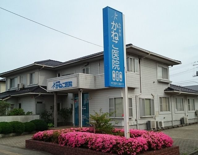 病院　みやぎ台かねこ医院（病院）まで1100m