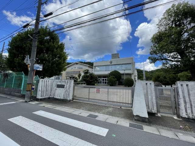 中学校　大白書中学校（中学校）まで1234m