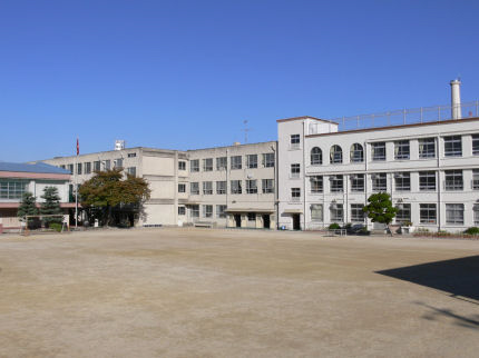 小学校　筒井小学校（小学校）まで252m