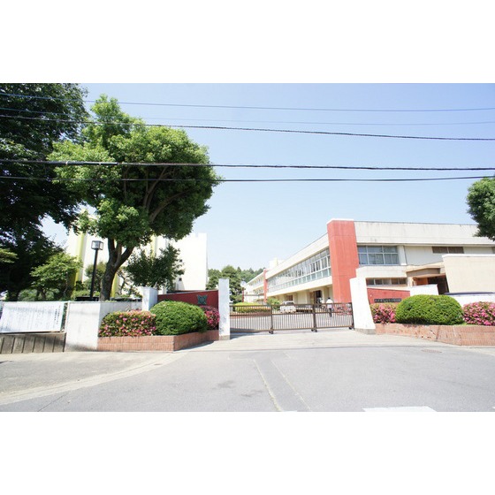 小学校　水戸市立双葉台小学校（小学校）まで603m