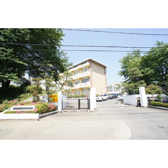 中学校　水戸市立双葉台中学校（中学校）まで706m