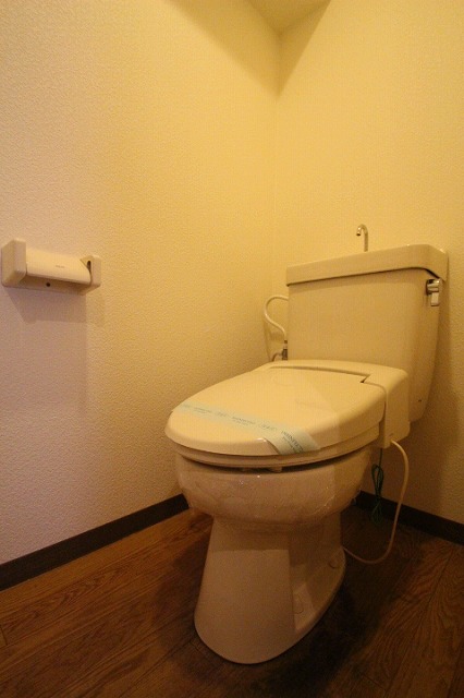 トイレ　同物件別号室の写真