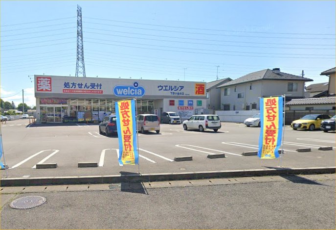 ドラックストア　ウエルシア下野小金井店（ドラッグストア）まで595m