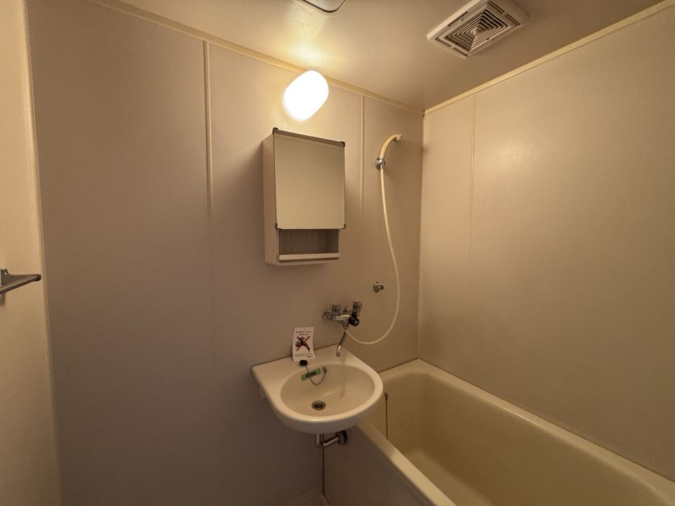 バス・シャワールーム　洗面台と鏡付です　充実のバスタイムを