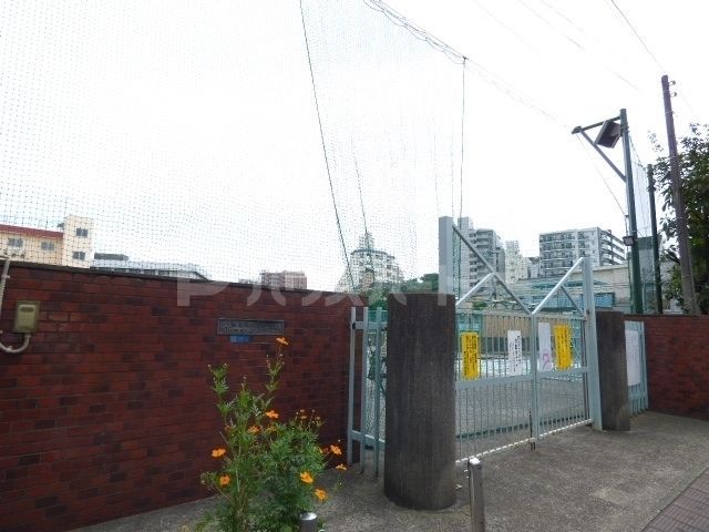 小学校　墨田区立第一寺島小学校（小学校）まで390m