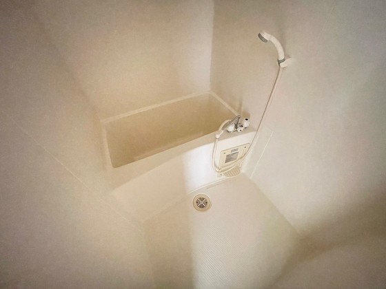 バス・シャワールーム　※別部屋の写真です