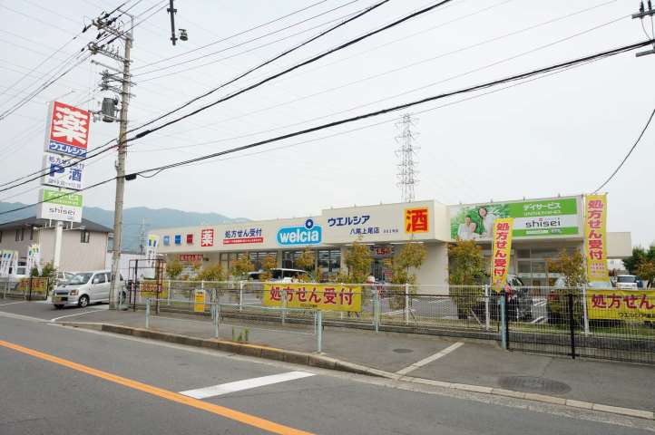 ドラックストア　ウエルシア八尾上尾店（ドラッグストア）まで1100m