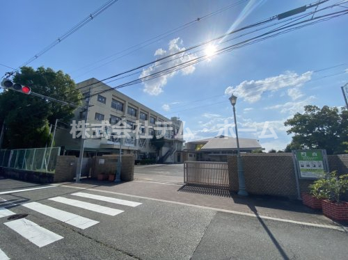 中学校　柏原中学校（中学校）まで1104m