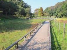 公園　新林公園（公園）まで1131m