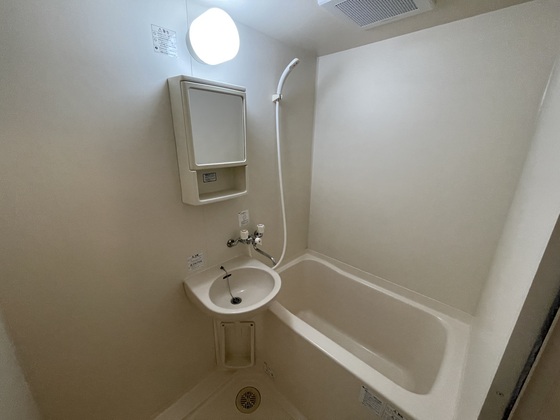 バス・シャワールーム　※他号室の写真になります。