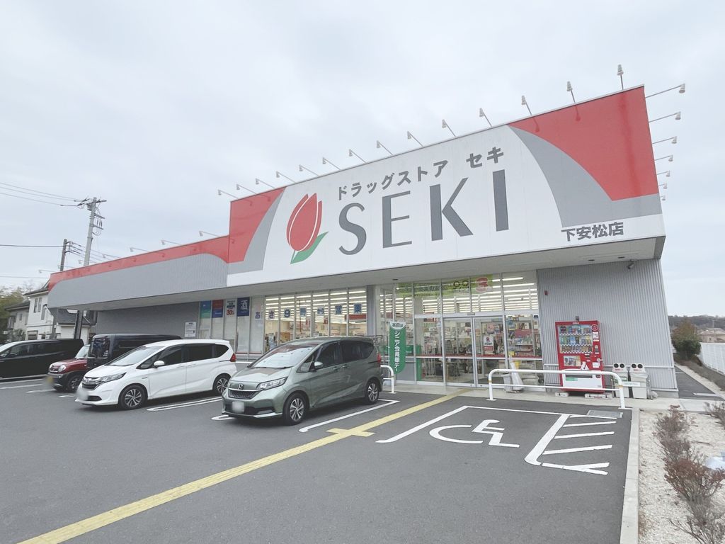 ドラックストア　ドラッグストアセキ 下安松店（ドラッグストア）まで650m