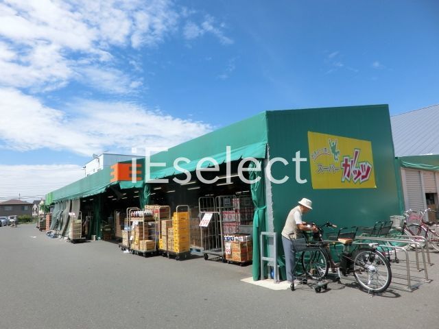 スーパー　スーパーガッツ姉崎店（スーパー）まで1100m