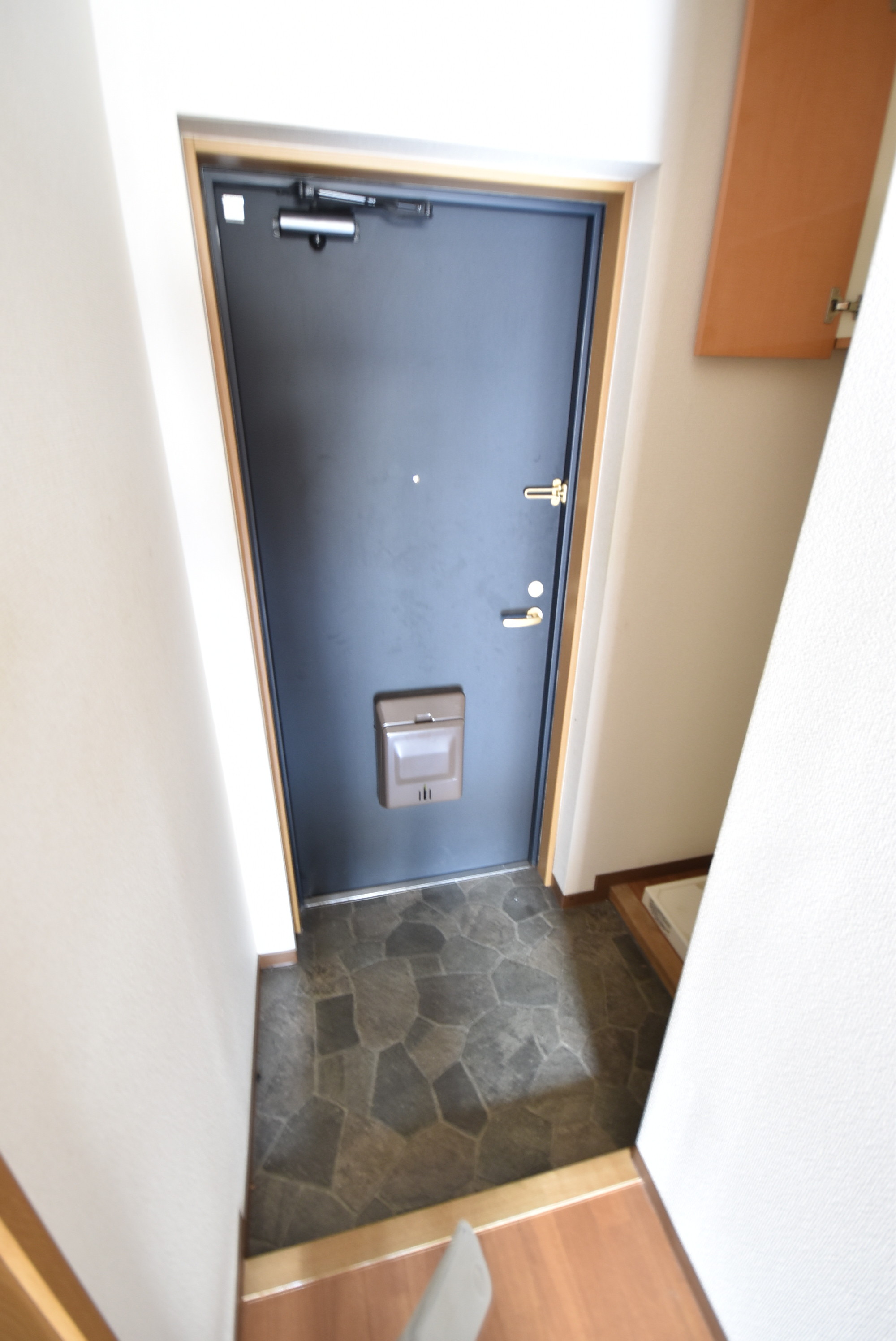 玄関　※退去予定の為、別部屋参考写真です。