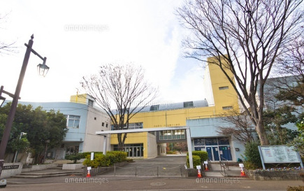 小学校　杉並第十小学校（小学校）まで430m