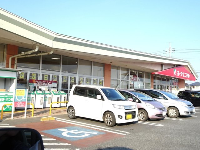 その他　ヨークベニマルカドヤ那珂湊店（244ｍ）