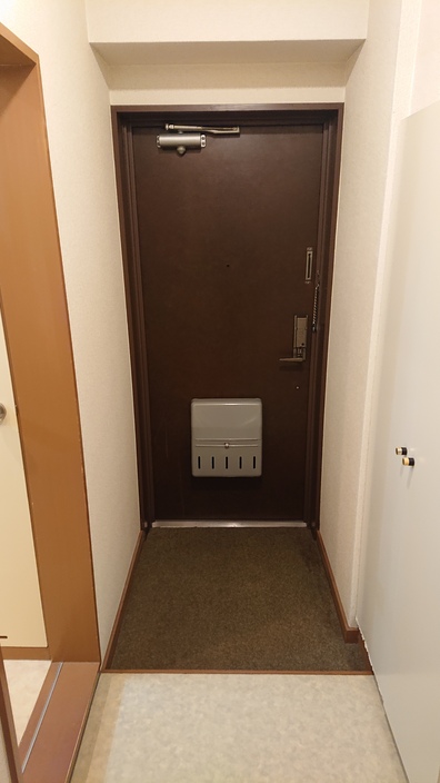 玄関　鍵はオシャレな電子ロックです。