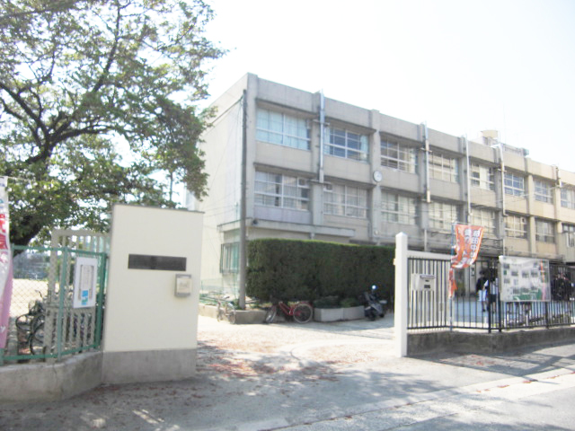 中学校　柏田中学校（中学校）まで742m