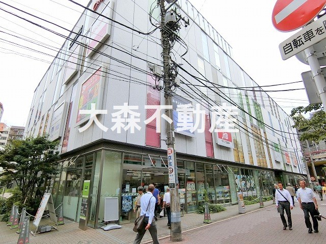 ショッピングセンター　Luz(ラズ大森（ショッピングセンター）まで234m