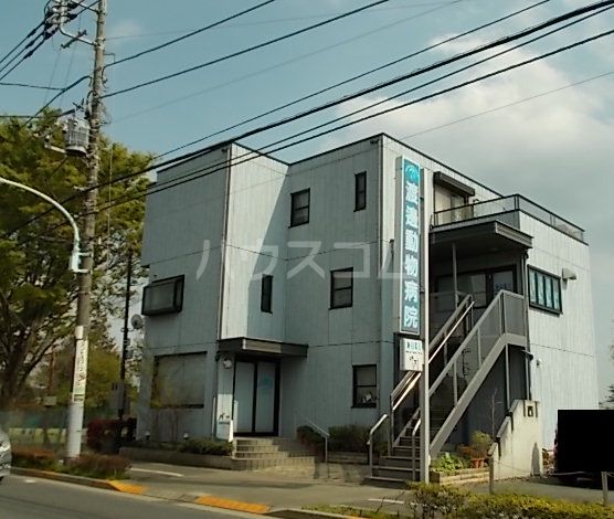 病院　渡邊動物病院（病院）まで628m