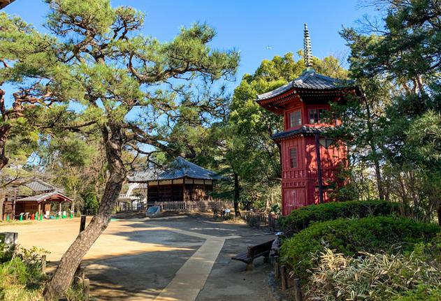 公園　哲学堂公園（公園）まで816m