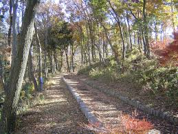 公園　立野緑地（公園）まで577m