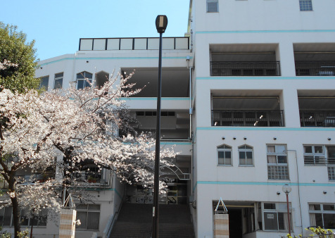 小学校　新宿区立四谷第六小学校（小学校）まで729m