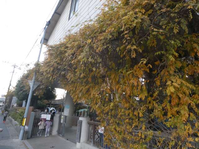 幼稚園・保育園　ちどり保育園（幼稚園・保育園）まで684m