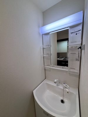 洗面設備　※参考写真